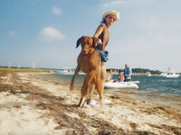 a person standing on a beach with a dog